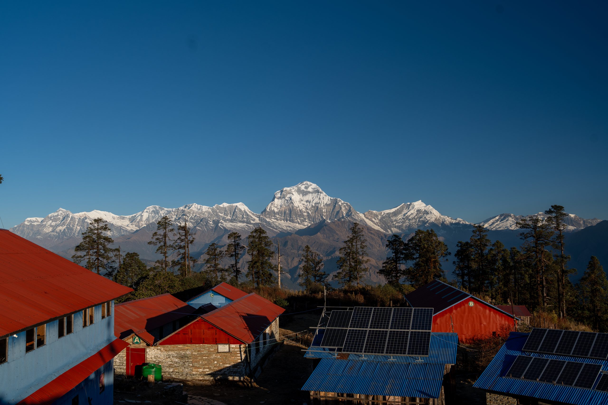 MOHARE DANDA
